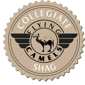 Flying-Camels-LOGO-ONE-Paolo