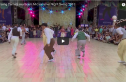 Flying Camels at Midsummer Night Swing